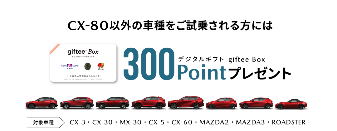 試乗でGET300ポイント