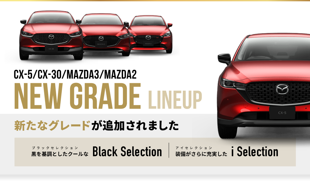 NEW GRADE LINEUP 新しいグレードが追加されました