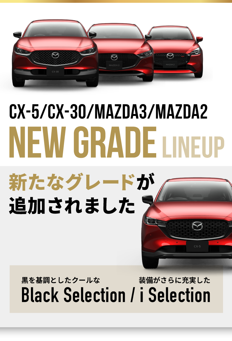 NEW GRADE LINEUP 新しいグレードが追加されました