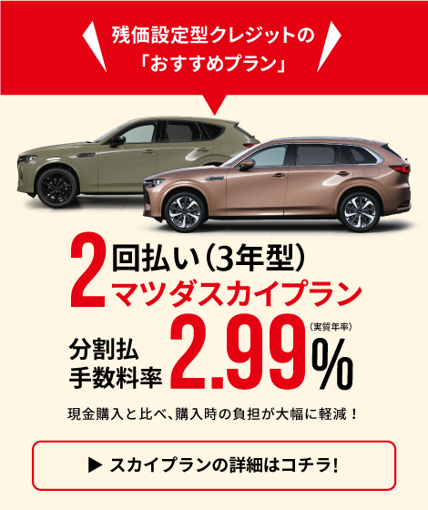 スカイプラン
