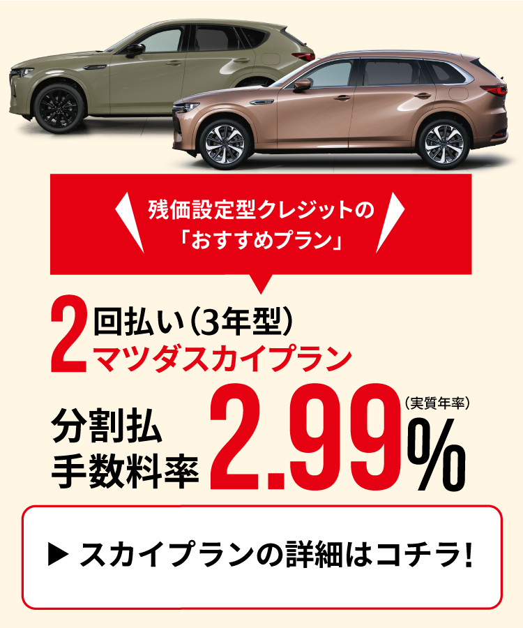 スカイプラン