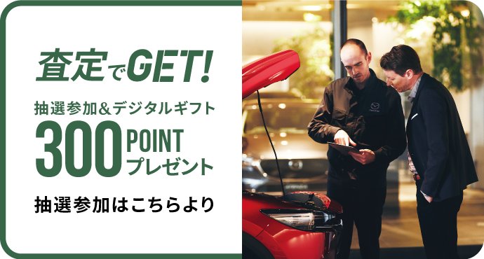 査定でGET