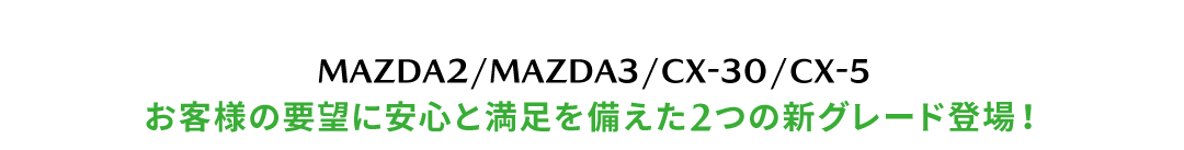 新グレードタイトル