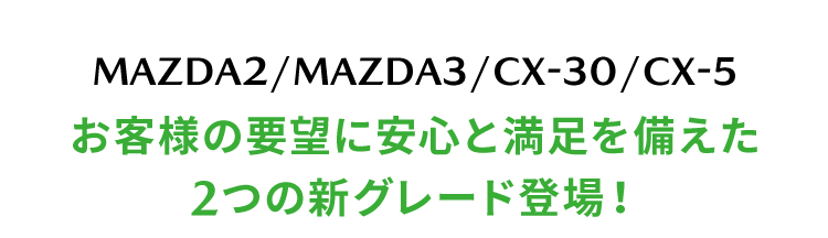 新グレードタイトル