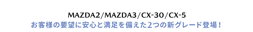 新グレードタイトル