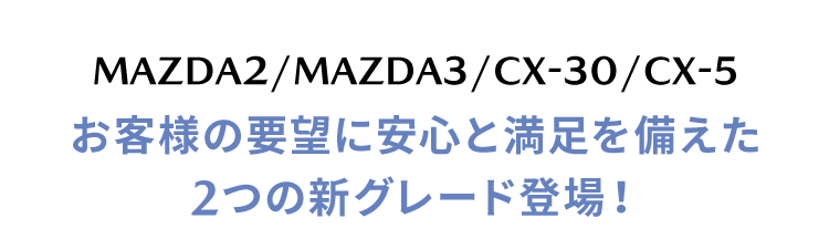 新グレードタイトル