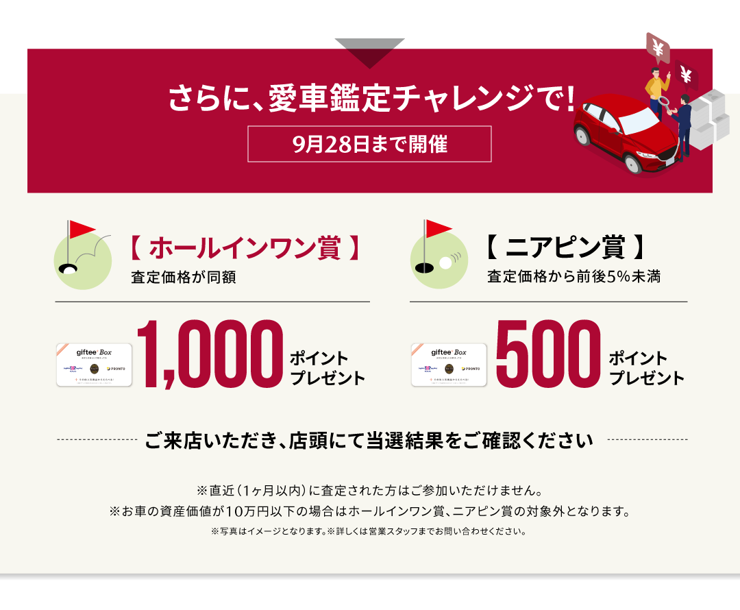 愛車鑑定キャンペーン