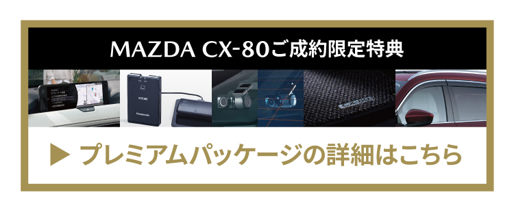 プレミアムパッケージはこちら