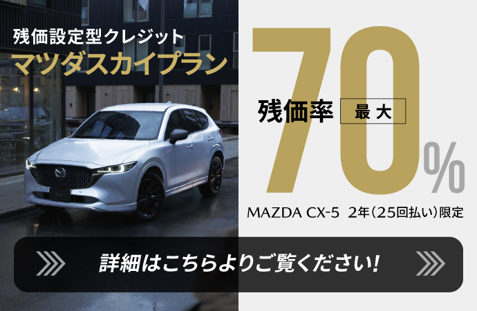 スカイプランの詳細はこちら