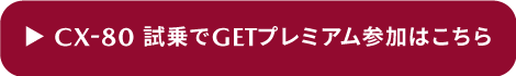 試乗でGET PREMIUM 800ポイント