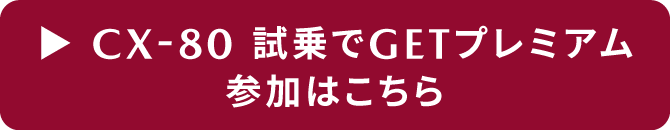試乗でGET PREMIUM 800ポイント