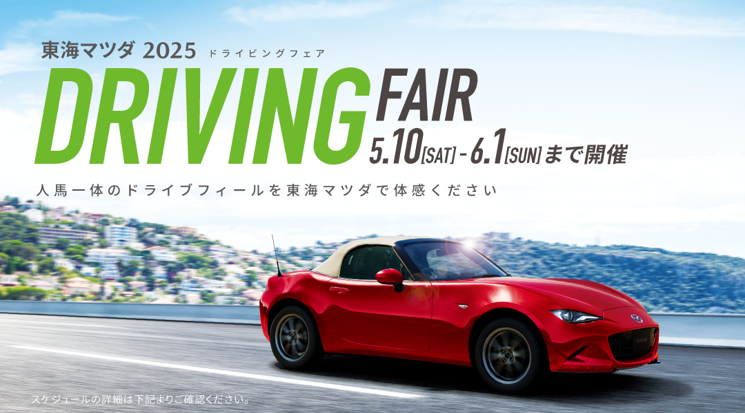 DRIVING FAIR
