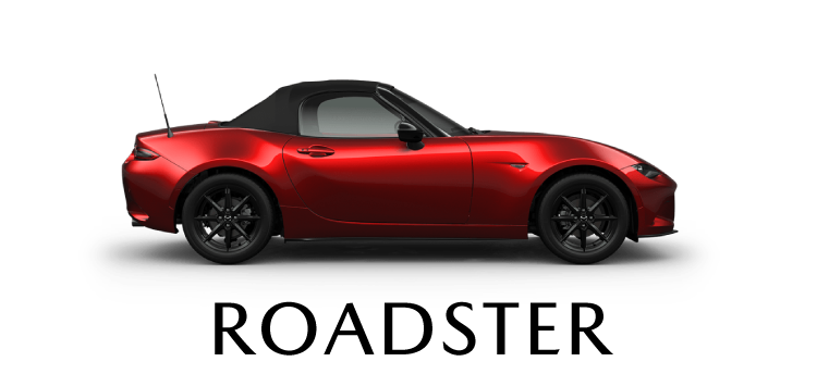ROADSTER