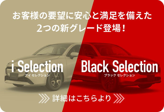 新グレード登場!